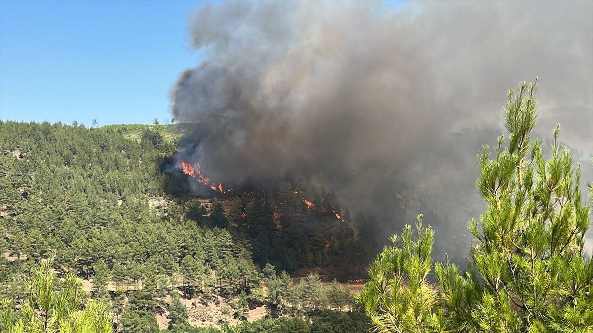 Denizli'nin Acıpayam ilçesinde tarım alanında başlayıp ormana sıçrayan yangına havadan ve karadan...
