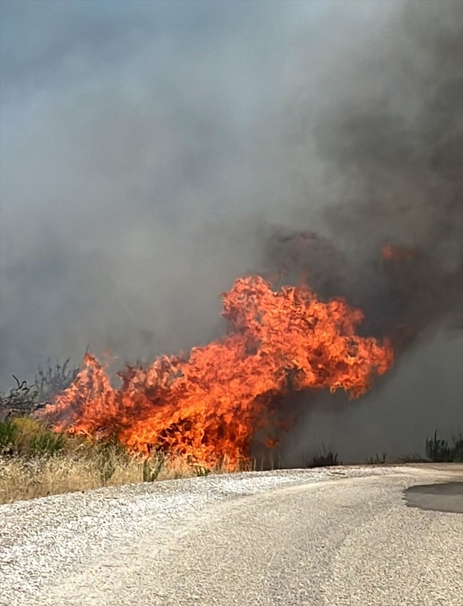 Denizli'nin Acıpayam ilçesinde tarım alanında başlayıp ormana sıçrayan yangına havadan ve karadan...