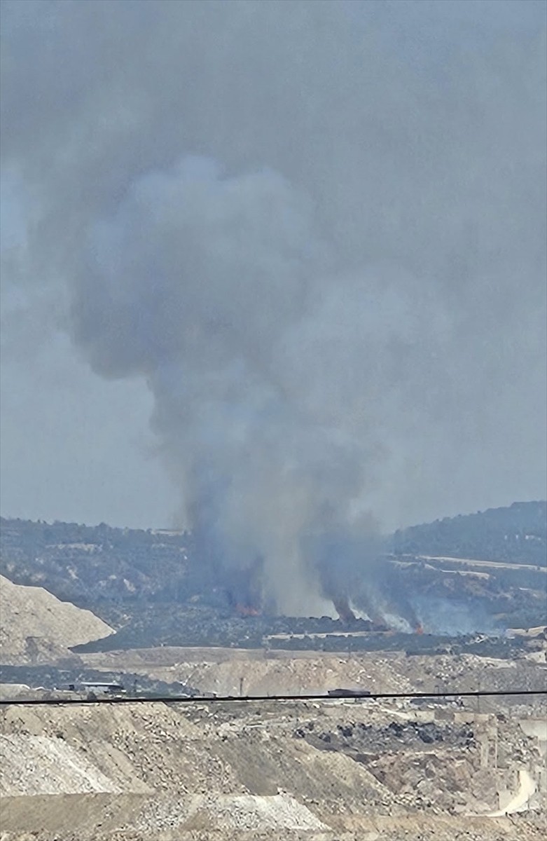 Denizli'nin Çal ilçesinde çıkan orman yangınına havadan ve karadan müdahale ediliyor.