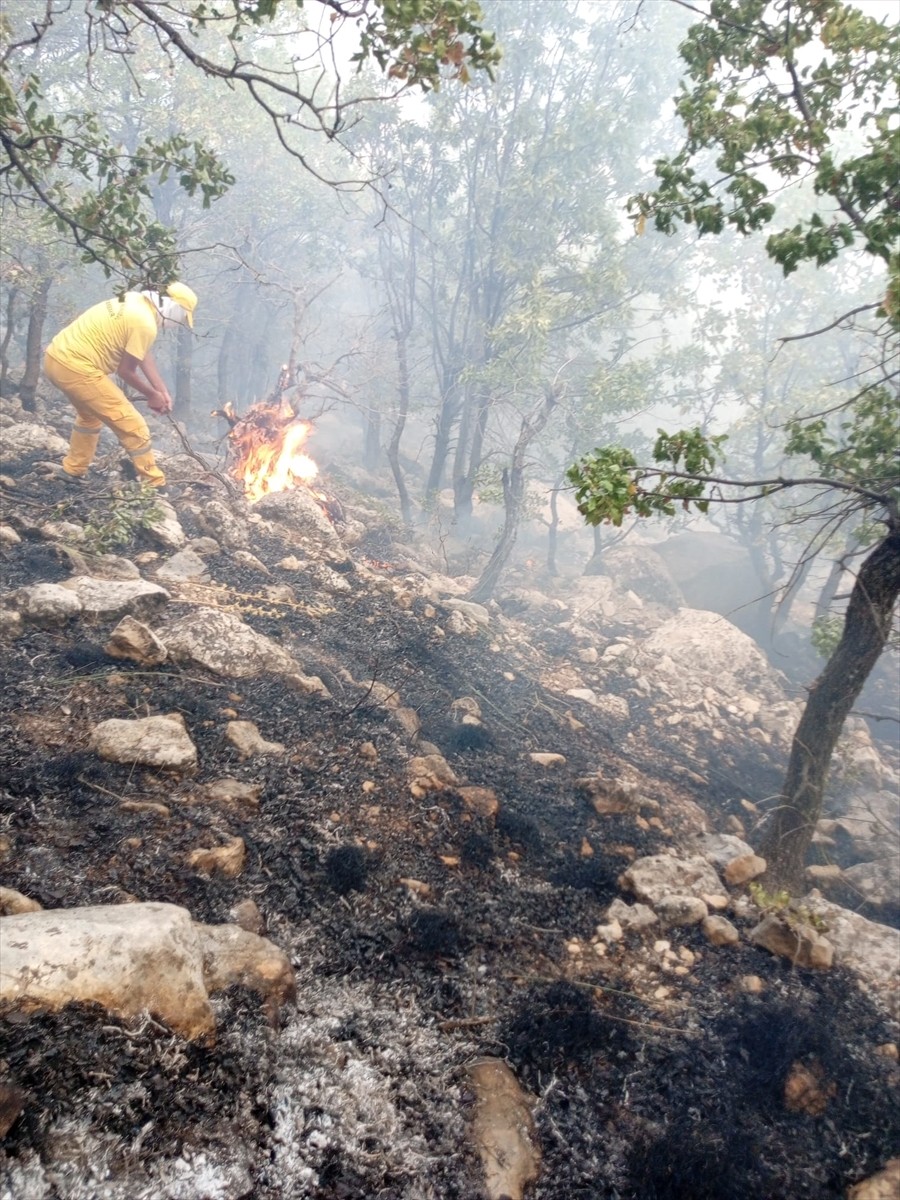 Diyarbakır'ın Lice ilçesi kırsalında ormanlık alanda çıkan yangına müdahale ediliyor. Kırsal Duru...