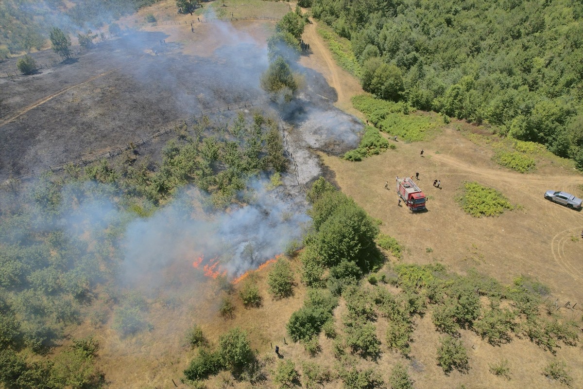 Düzce'nin Yığılca ilçesinde çıkan örtü yangını kontrol altına alındı.