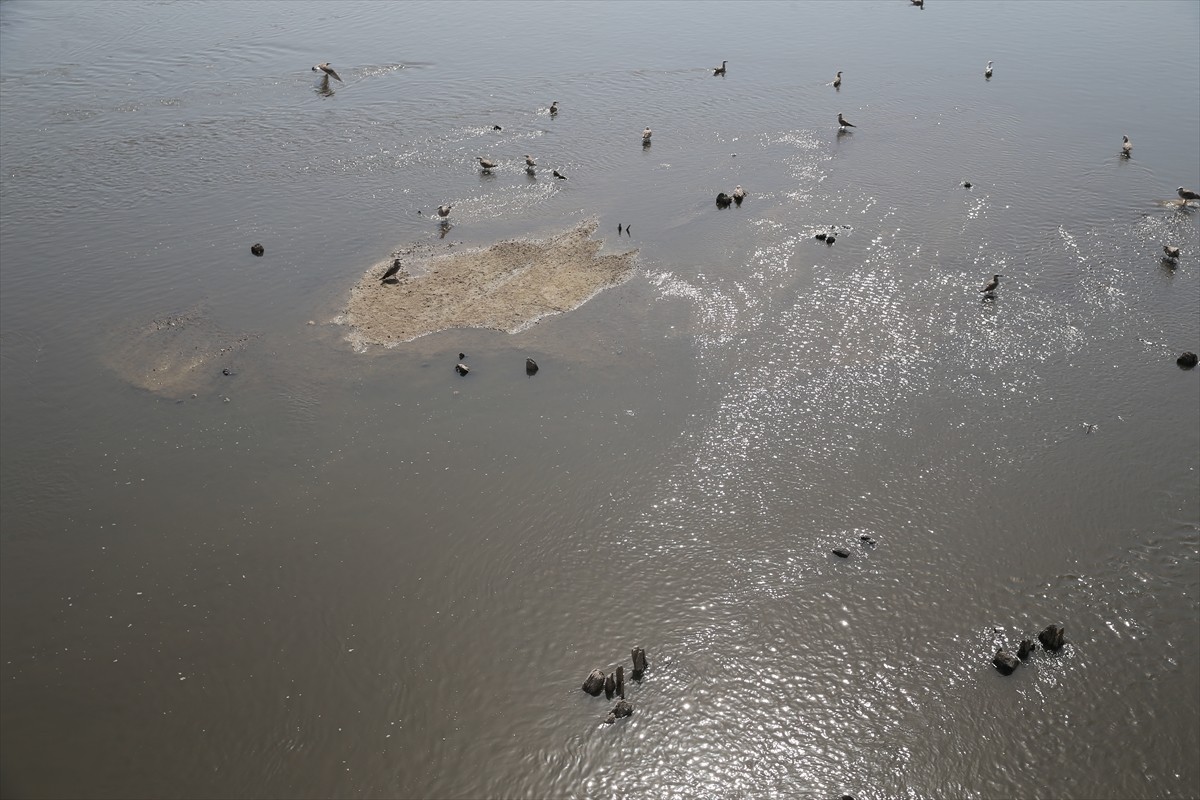 Edirne'de aşırı sıcaklara bağlı buharlaşma nedeniyle su seviyesi azalan Meriç Nehri'nde, asırlar...