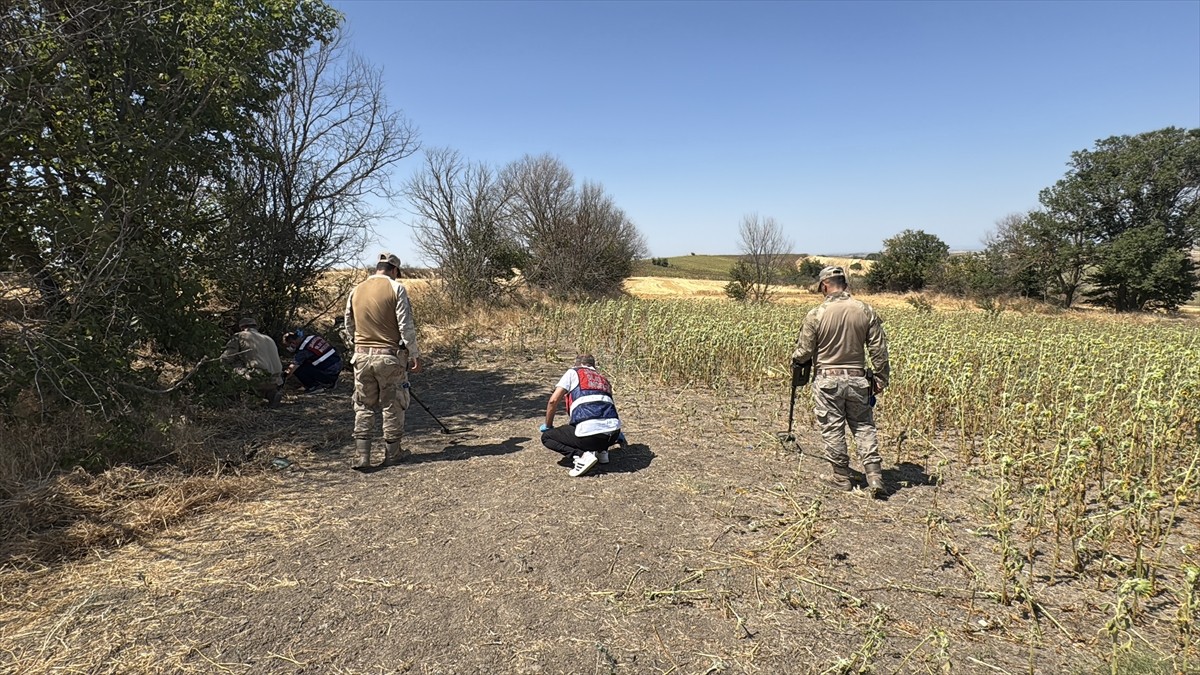Edirne'de ayçiçeği tarlasında başından tabancayla vurulmuş halde kadın cesedi bulundu. Olay...