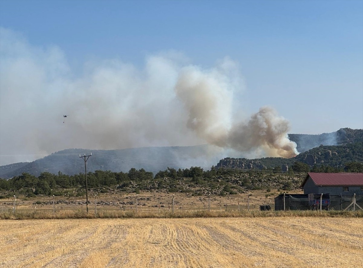 Eskişehir'in Seyitgazi ilçesinde başlayıp Afyonkarahisar'a sıçrayan orman yangını söndürülmeye...