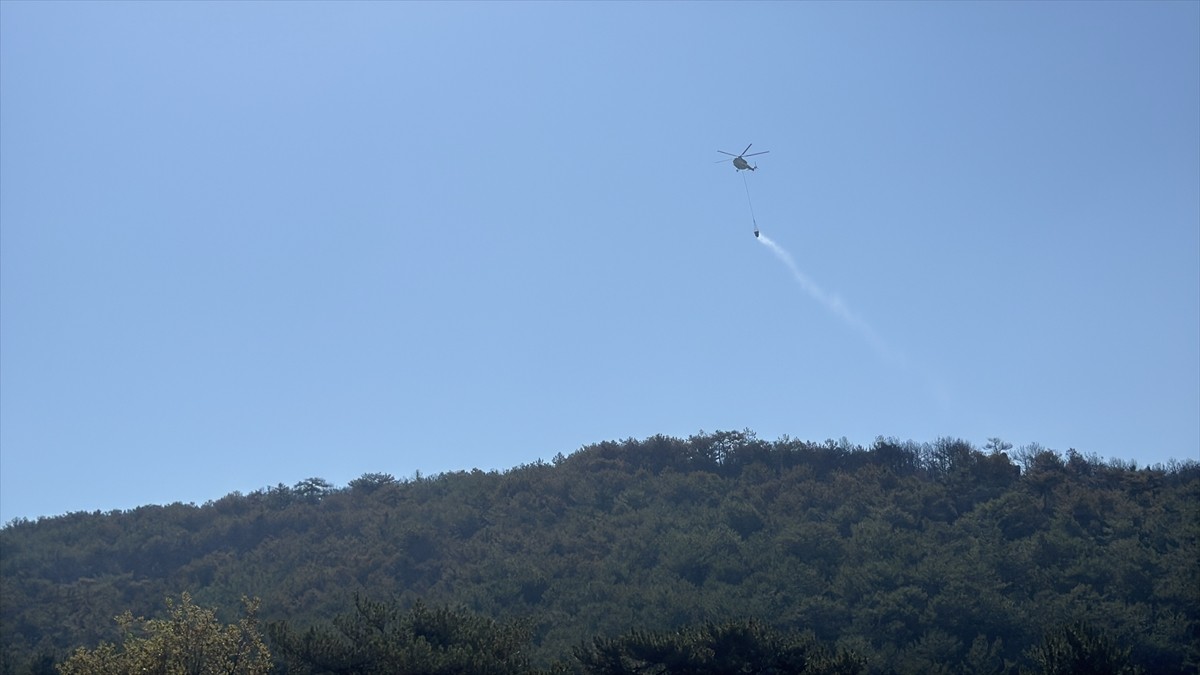 Eskişehir'in Seyitgazi ilçesinde başlayıp Afyonkarahisar'a sıçrayan orman yangınının büyük oranda...