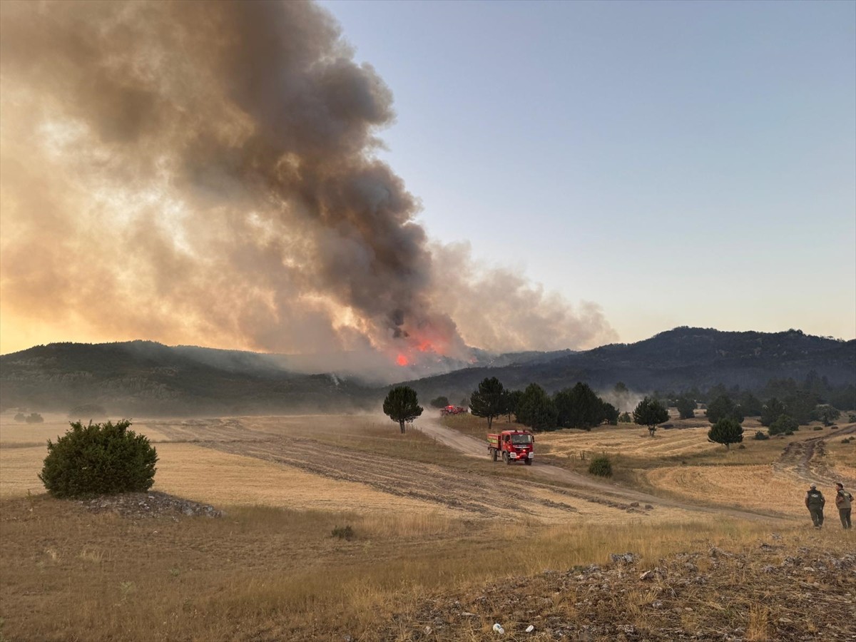  Eskişehir'in Seyitgazi ilçesinde çıkan ve Afyonkarahisar'a sıçrayan orman yangına müdahale...