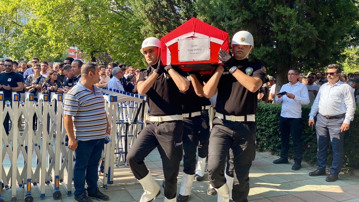 Eskişehir'in Seyitgazi ilçesinde çıkıp Afyonkarahisar'a sıçrayan orman yangınında şehit olan dozer...