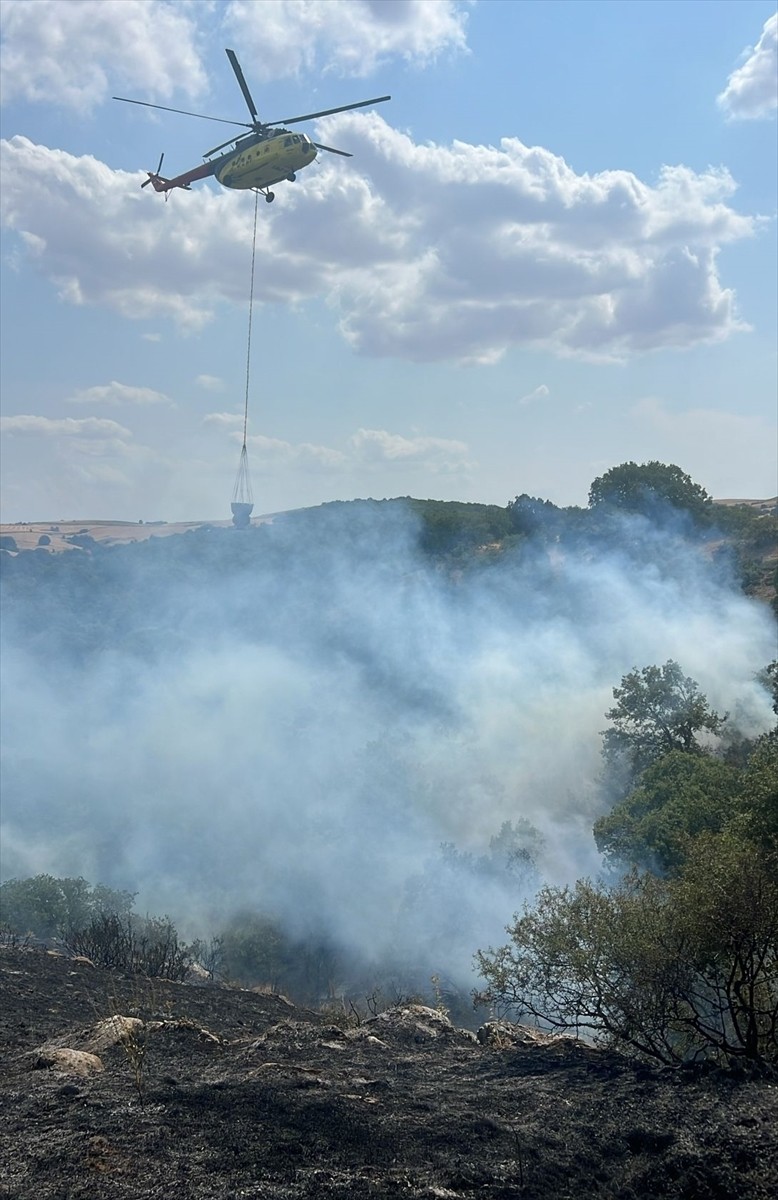 Eskişehir'in Tepebaşı ilçesinde tarım arazisinde çıkıp, ormanlık alana sıçrayan yangın kontrol...