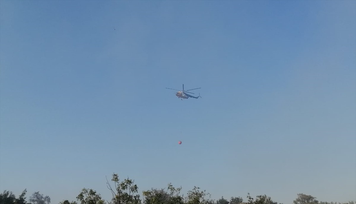 Gaziantep'in Şehitkamil ilçesinde çıkan orman yangınına havadan ve karadan müdahale ediliyor.