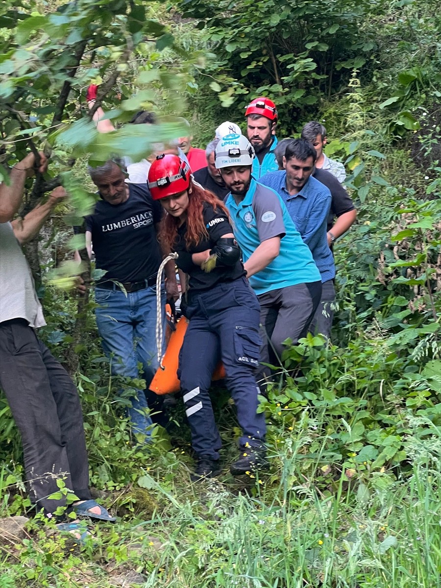 Giresun'un Piraziz ilçesinde yamaçtan yuvarlanan 75 yaşındaki Ali Akdemir yaralandı. Ekiplerce...