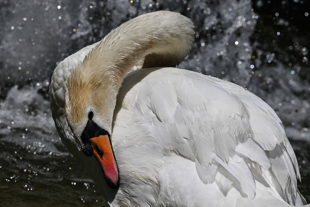 Hava sıcaklığının mevsim normallerinin üzerinde seyrettiği Ankara'da vatandaşlar, serinlemek için...