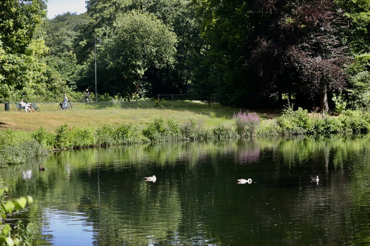 Hollanda'nın Arnhem kentinde bulunan ve 126 yıldır halka açık olan Park Sonsbeek, tarihi dokusu ve...