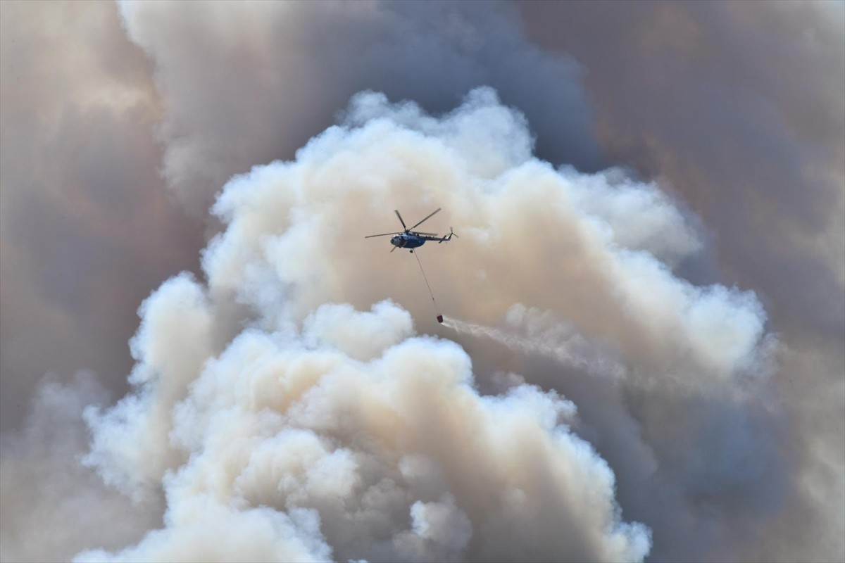 İçişleri Bakanı Ali Yerlikaya, 61 orman yangınıyla ilgili 23 şüphelinin gözaltına alındığını...