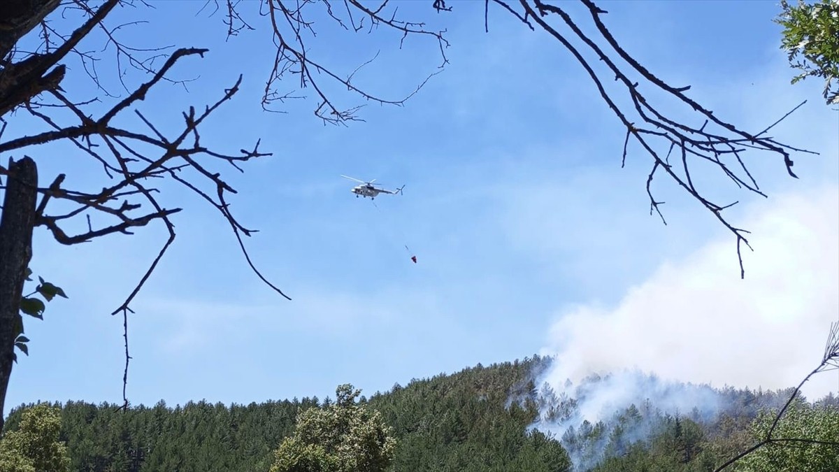 Isparta'nın Sütçüler ilçesinde çıkan orman yangınına müdahale ediliyor.   