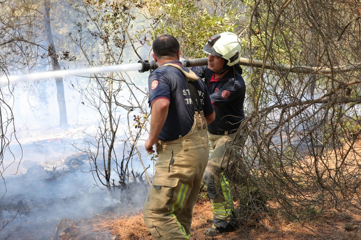 İstanbul'daki bazı belediyeler, Bursa'daki orman yangınlarını söndürme çalışmalarına destek vermek...