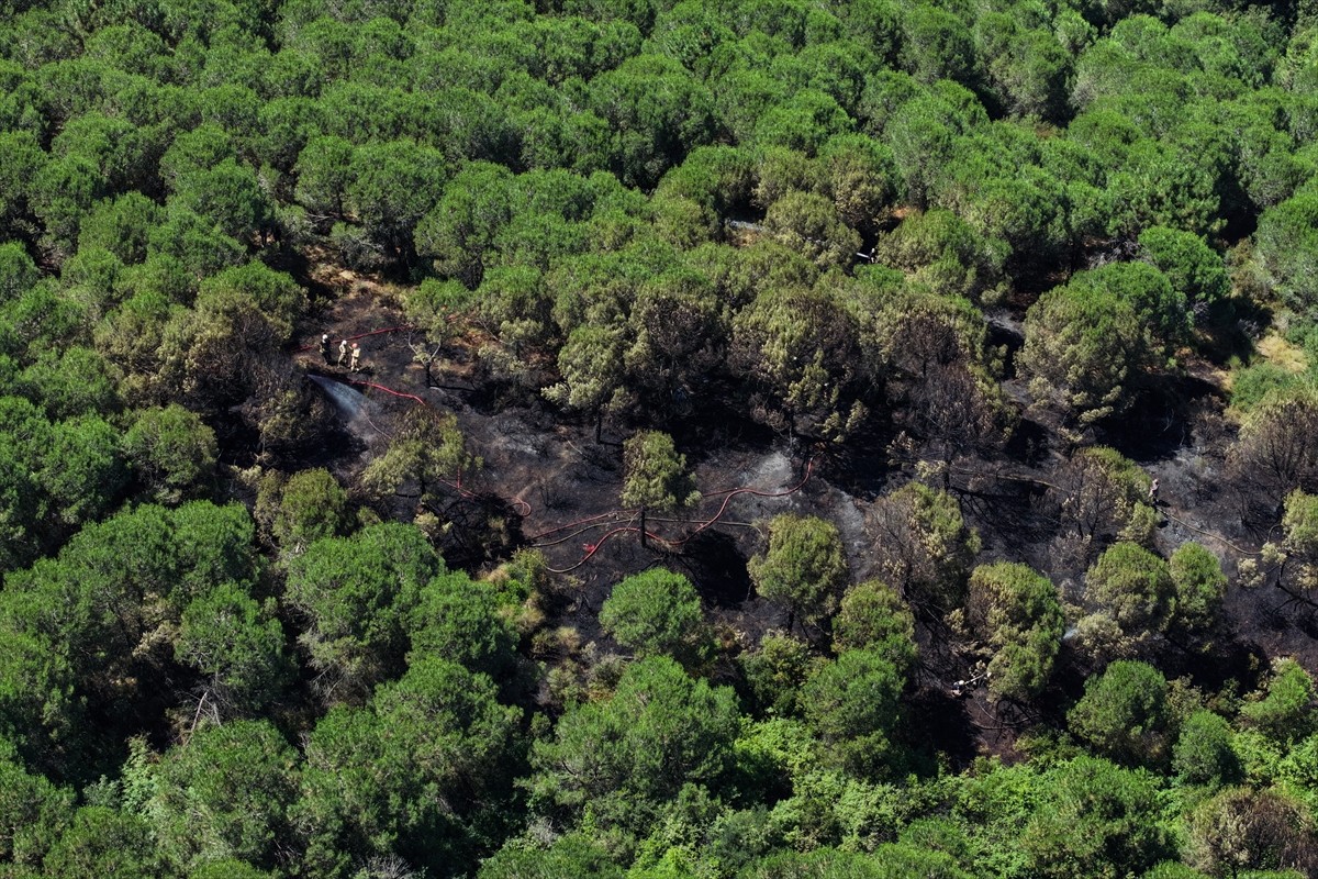  İstanbul Sultangazi'de bir ormanda çıkan yangına itfaiye ekipleri müdahale ediyor.