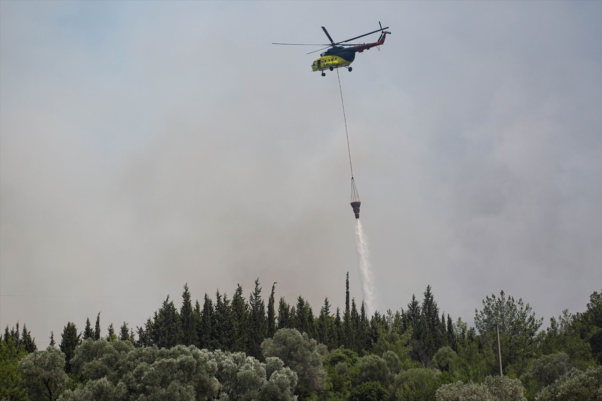 İzmir'in Bornova ilçesindeki Gökdere Mahallesi'nde çıkan orman yangınına havadan ve karadan...