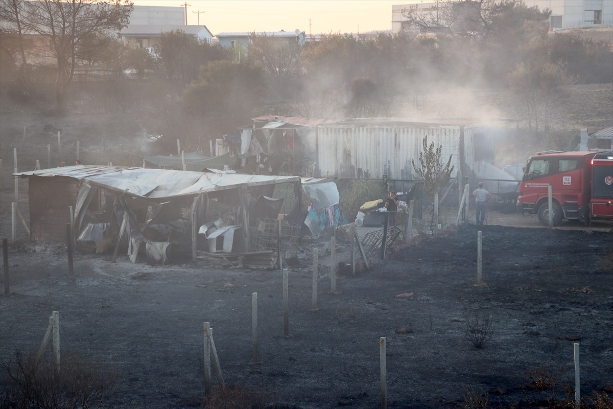 İzmir'in Menderes ilçesinde otluk alanda çıkan yangın 8 evde hasar oluşmasına neden oldu.