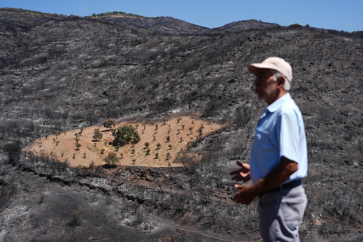 İzmir'in Ödemiş ilçesinde çıkan orman yangınında, çiftçi Ahmet Türk'ün daha önceden sürüp otlardan...