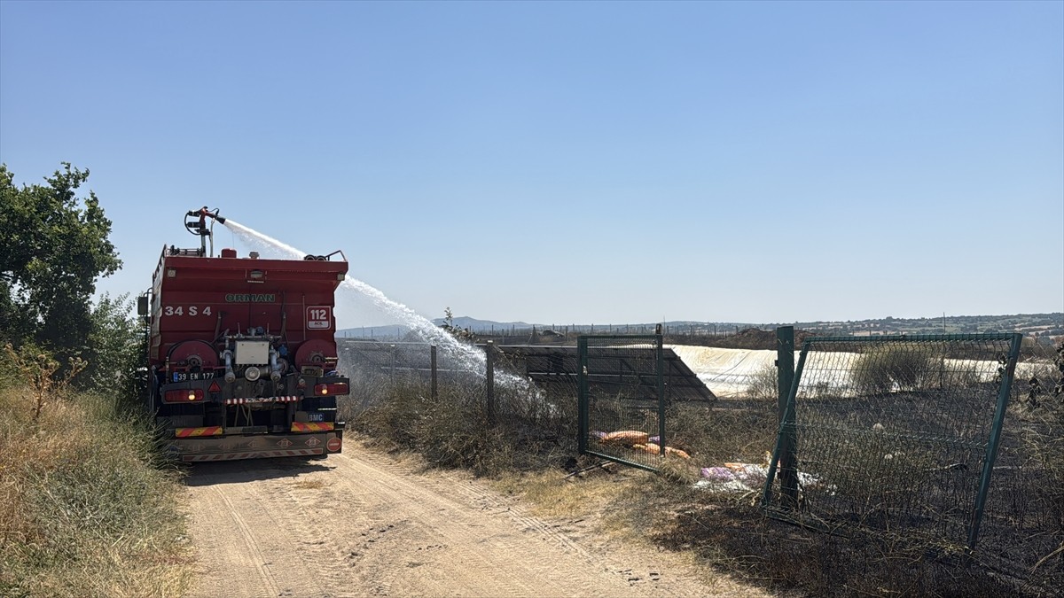Kırklareli'nde çıkan yangında 20 dekar alandaki ceviz ağaçları yandı.