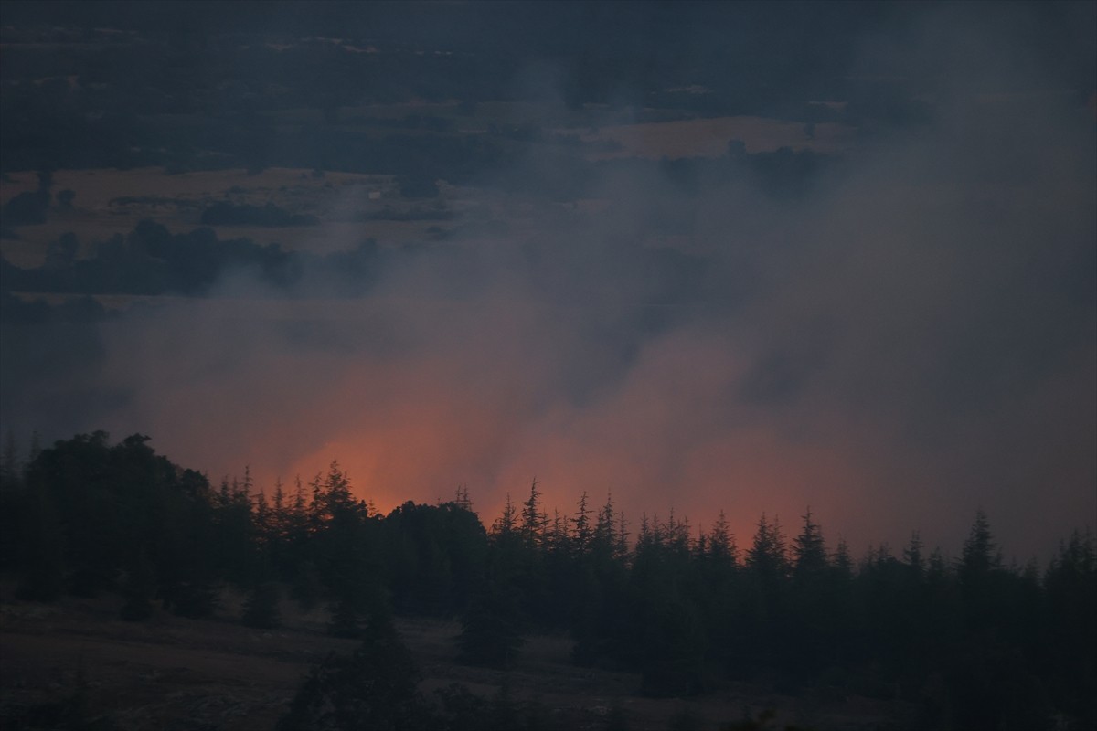 Kırklareli'nin Kofçaz ilçesinde çıkan orman yangını kontrol altına alındı.