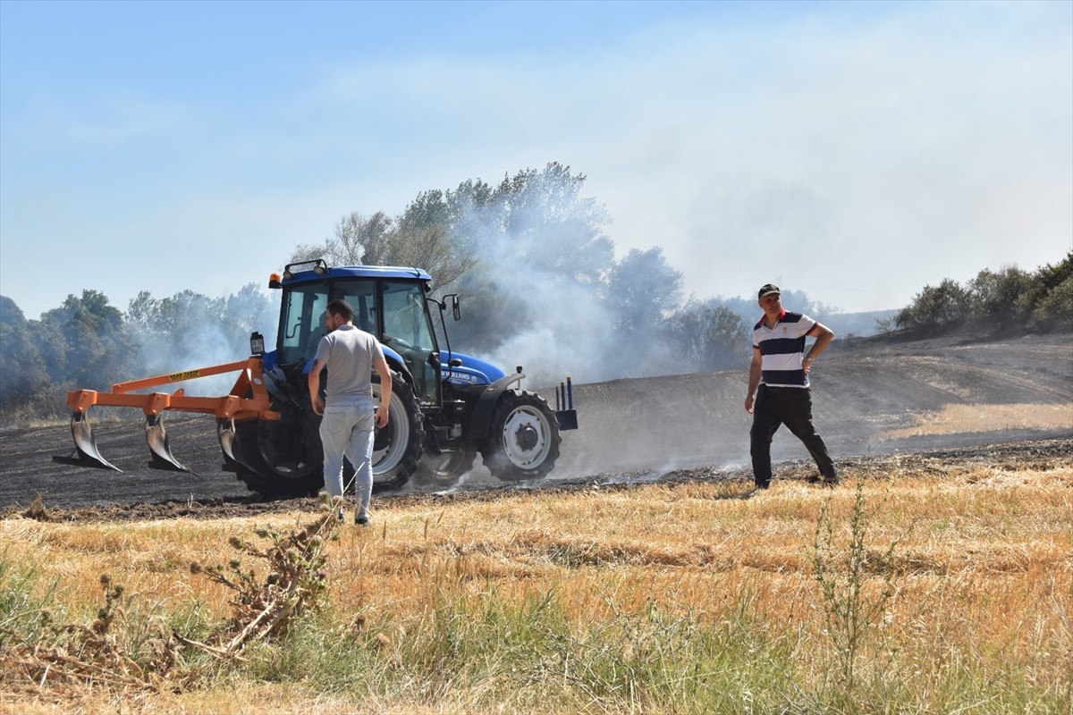  Kırklareli'nin Lüleburgaz ilçesinde anızdan ağaçlık alana sıçrayan yangın söndürüldü.
