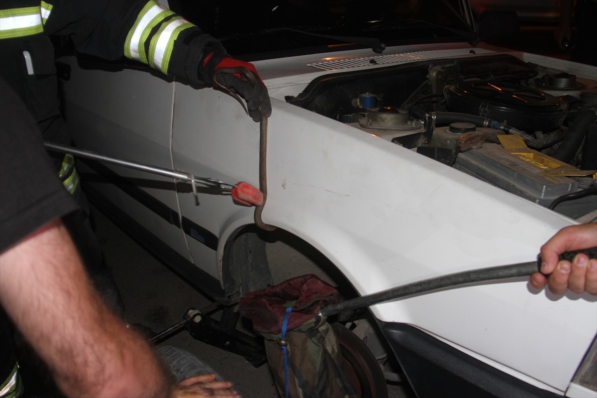 Konya'nın Beyşehir ilçesinde bir otomobilin jantına giren yılan, itfaiye ekiplerince...