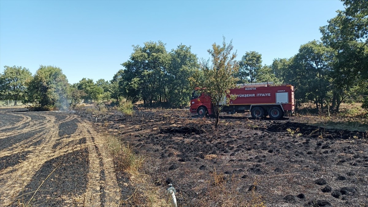 Konya'nın Beyşehir ilçesinde çıkan yangında arpa ekili alan zarar gördü.