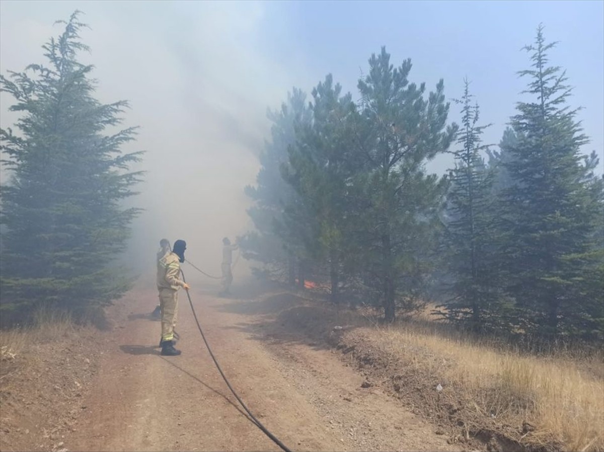 Malatya'nın Doğanşehir ilçesinde henüz belirlenemeyen nedenle çıkan orman yangını...