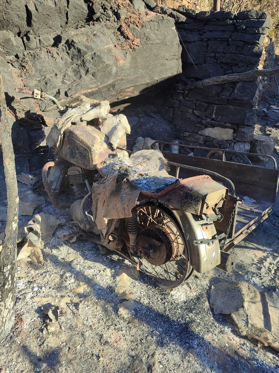 Manisa'nın Akhisar ilçesinde çıkan orman yangını ekiplerin müdahalesiyle kontrol altına alındı....