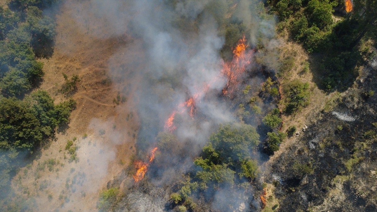Manisa'nın Demirci ilçesinde çıkan orman yangını ekiplerin havadan ve karadan müdahalesiyle...