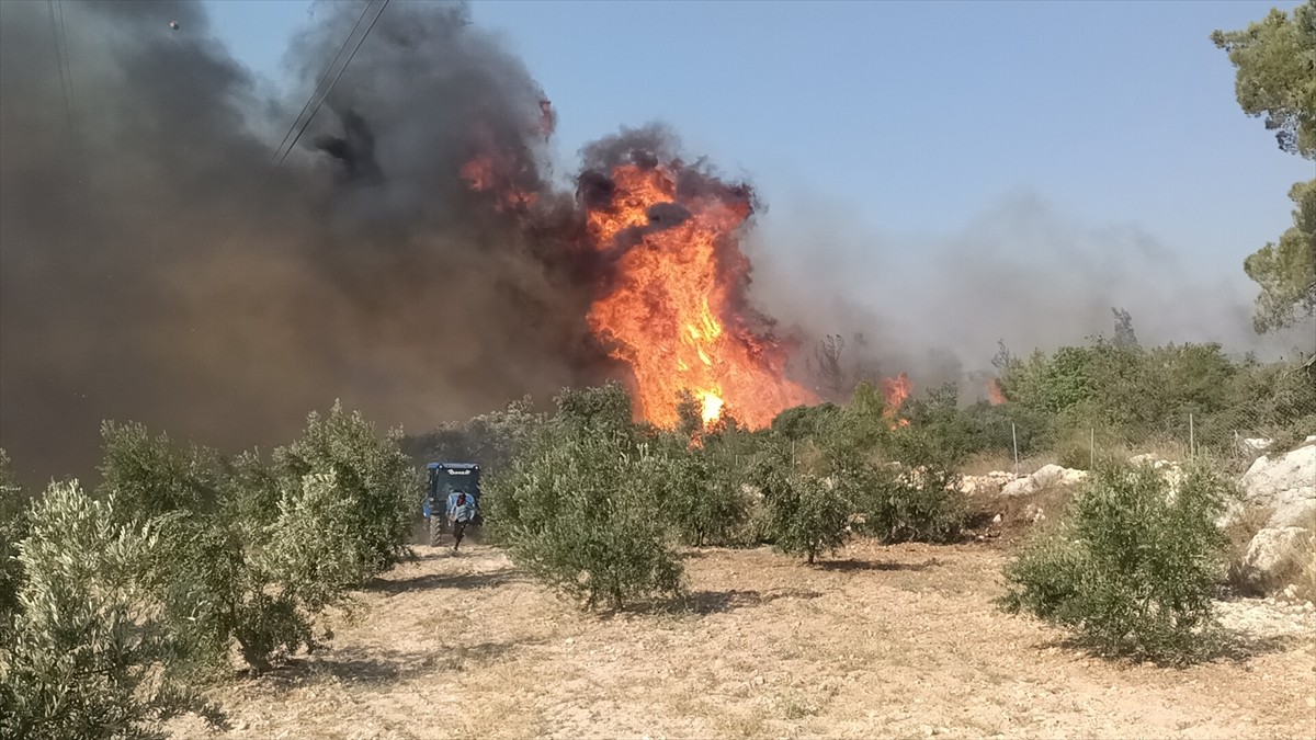 Mersin'in Silifke ilçesindeki ormanlık alanda çıkan yangına havadan ve karadan müdahale...