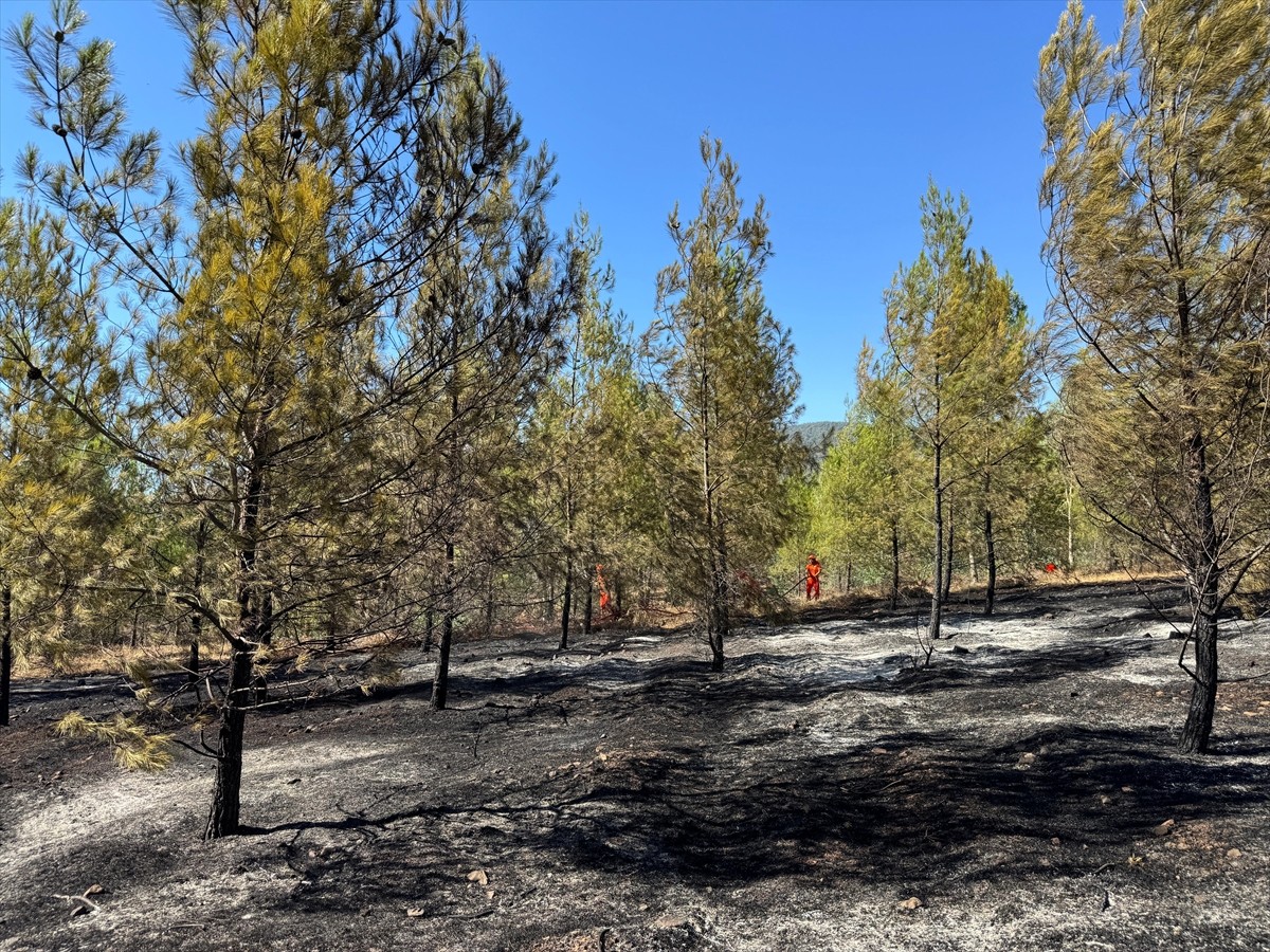 Muğla'nın Fethiye ilçesinde çıkan orman yangınına havadan ve karadan müdahale ediliyor.
