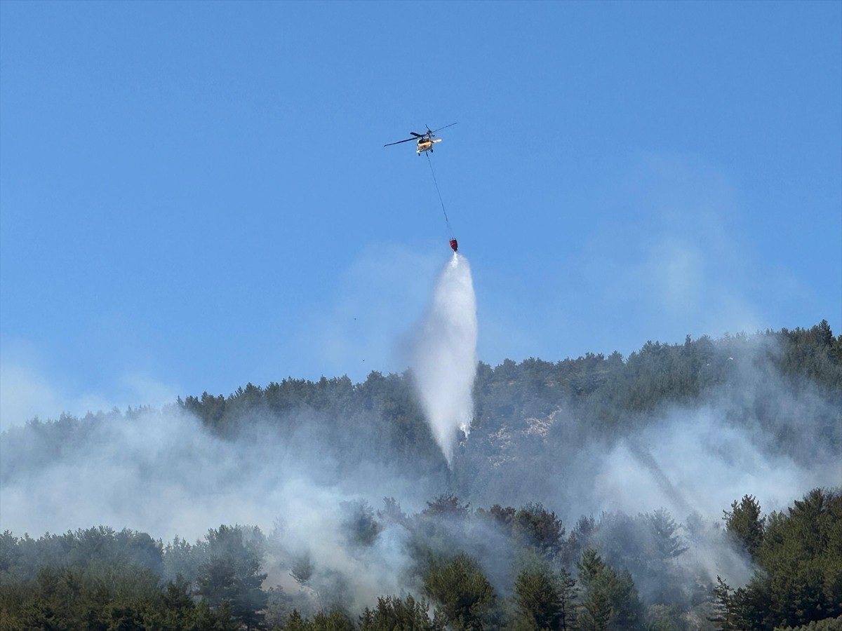 Muğla'nın Menteşe ilçesinde çıkan orman yangını, havadan ve karadan müdahaleyle kontrol altına...