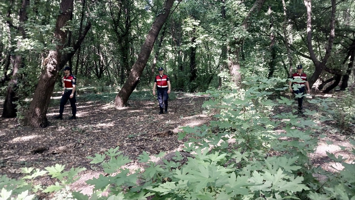 Muğla'nın Ortaca ilçesinde endemik tür olan ve koruma altında bulunan sığla ormanında, olası bir...