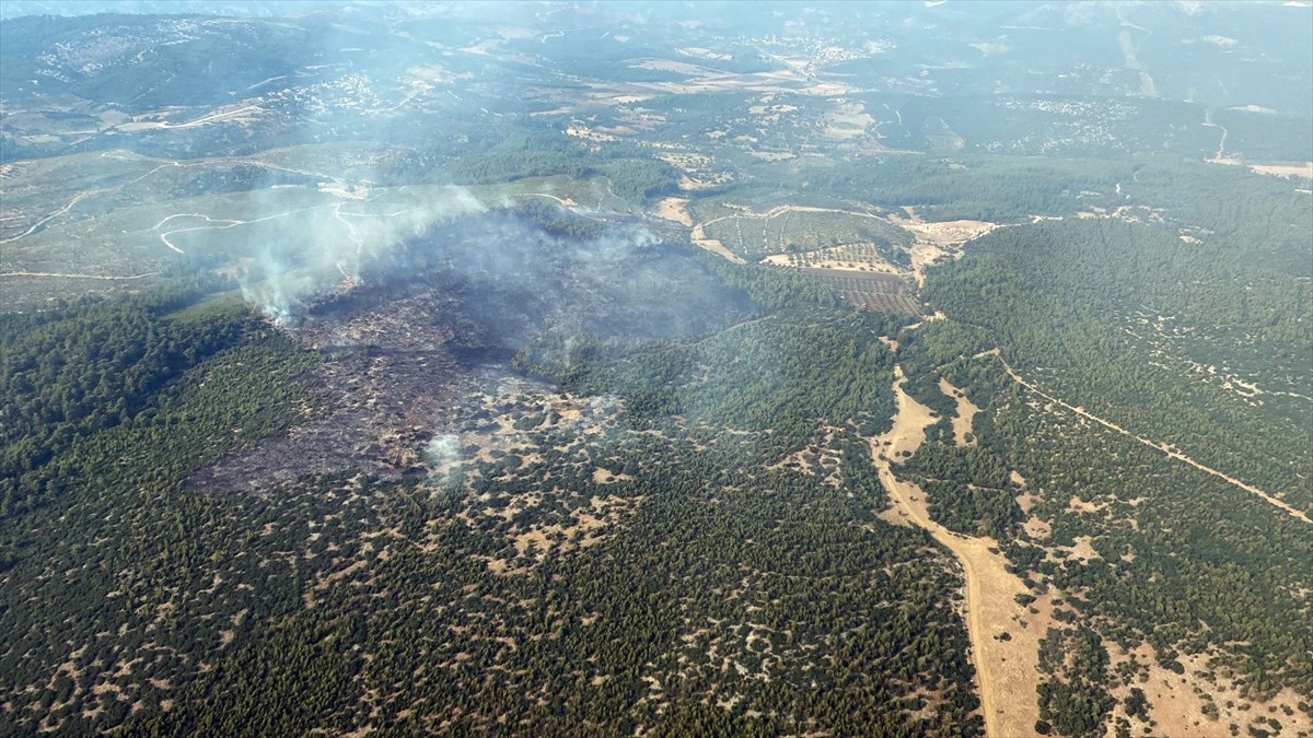 Muğla'nın Yatağan ilçesinde çıkan orman yangını havadan ve karadan müdahaleyle kontrol altına...