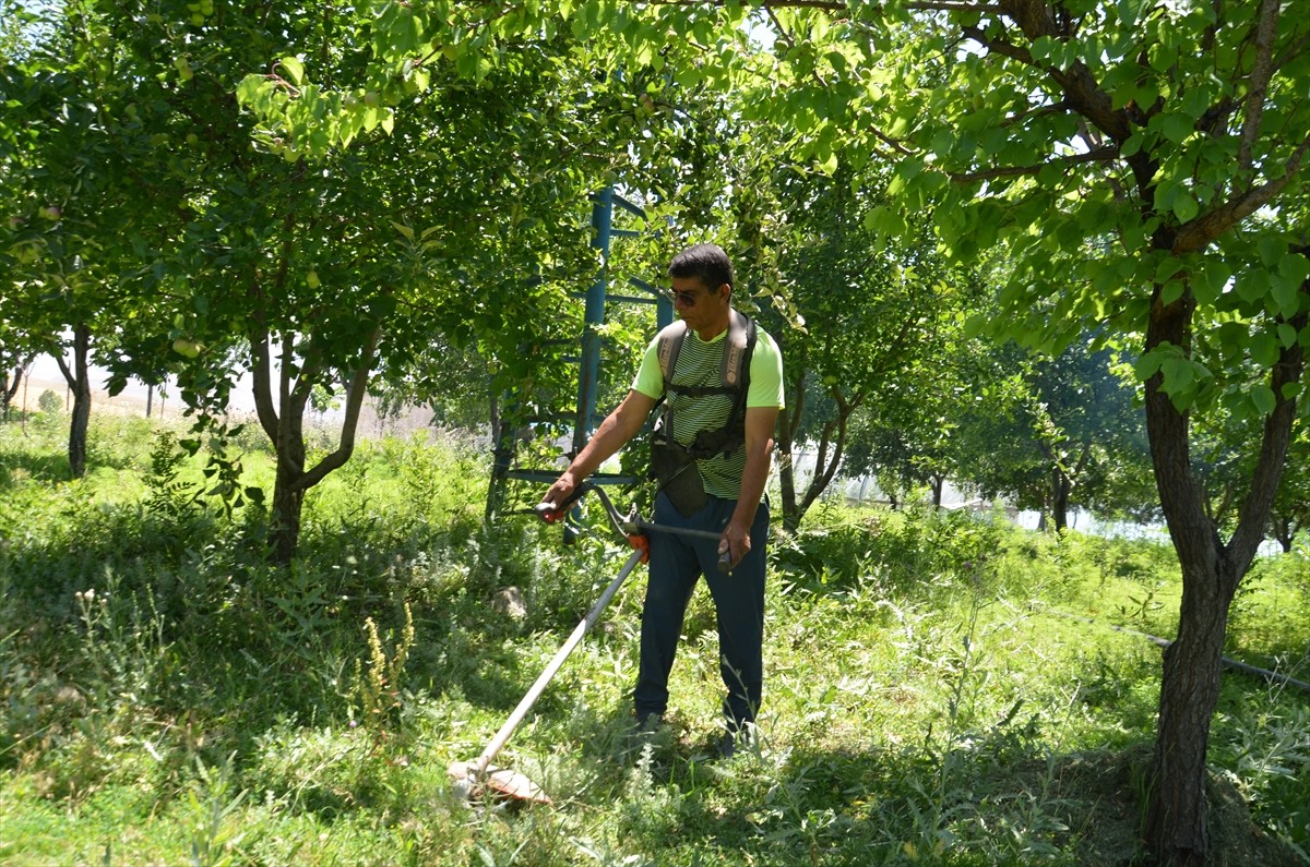 Muş'un Bulanık ilçesinde uzun süre kolon kanseriyle mücadele ettikten sonra iyileşen 61 yaşındaki...