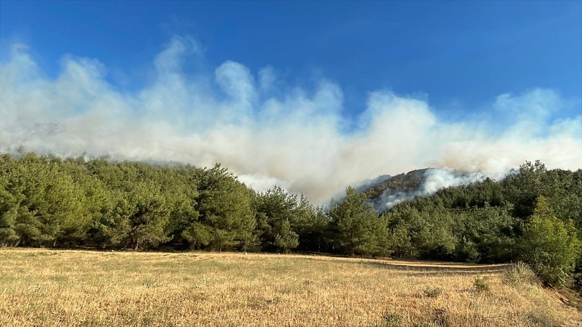 Sakarya'nın Geyve ilçesinde çıkan orman yangını ikinci gününde havadan ve karadan müdahaleyle...