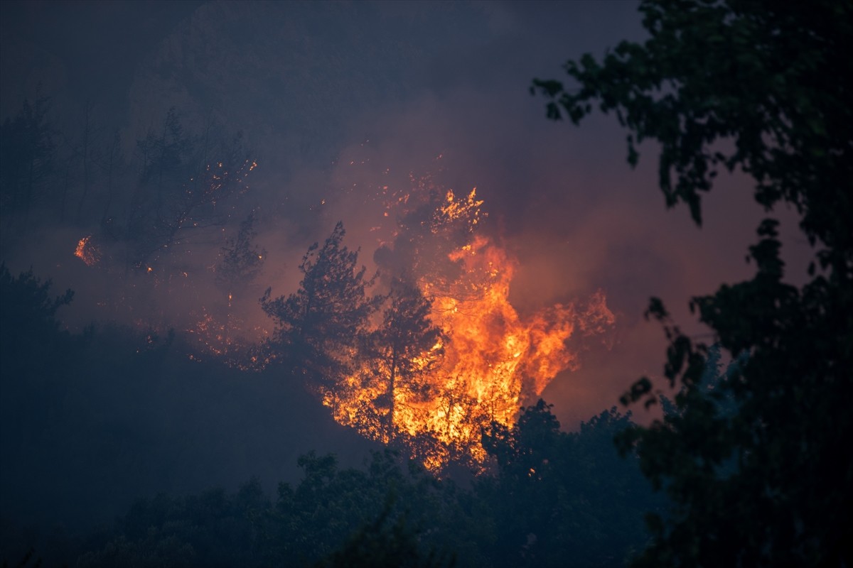 Sakarya'nın Geyve ilçesinde ormanlık alanda çıkan yangın havadan ve karadan müdahaleyle...