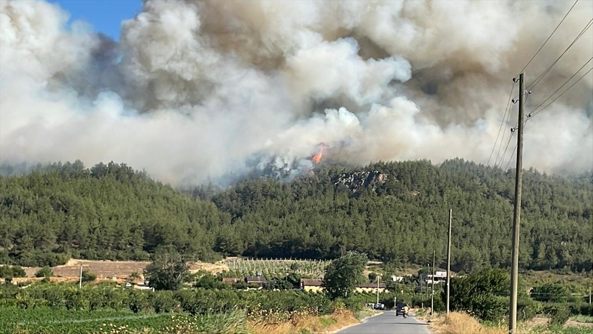 Sakarya'nın Geyve ilçesinde ormanlık alanda çıkan yangın söndürülmeye çalışılıyor.