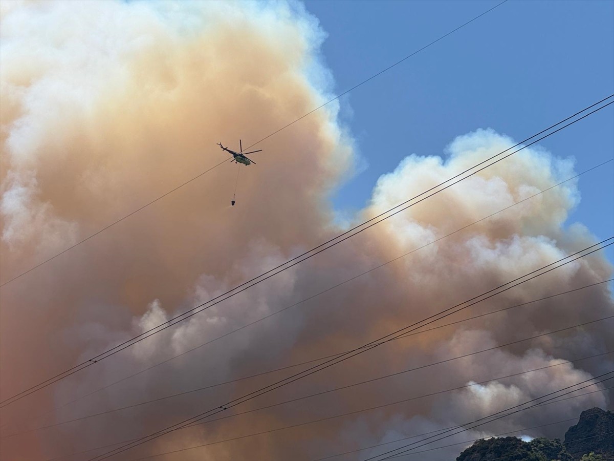 Sakarya'nın Geyve ilçesinde ormanlık alanda çıkan yangına havadan ve karadan söndürülmeye...