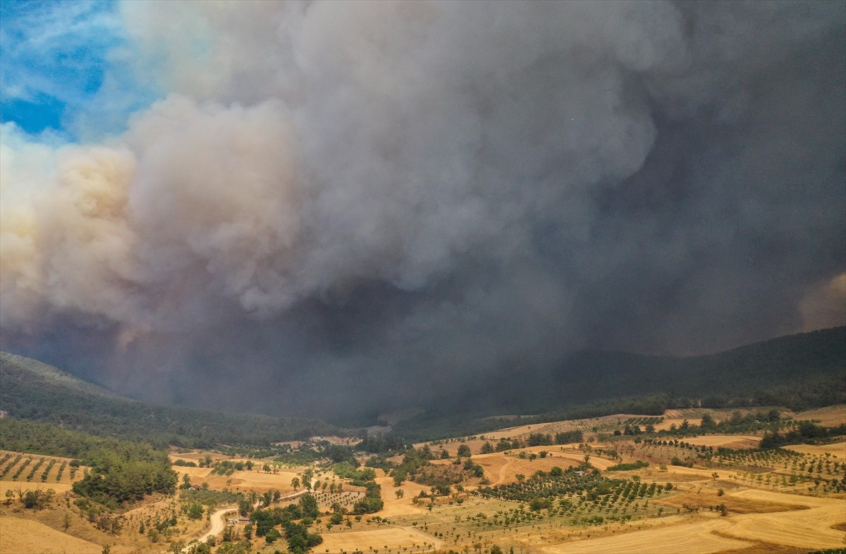 Sakarya'nın Geyve ilçesindeki ormanlık alanda çıkan yangın, Bilecik tarafına sıçradı. Sakarya'nın...