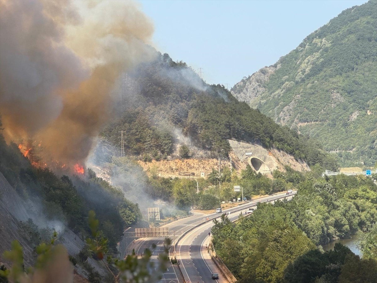 Sakarya'nın Geyve ilçesindeki ormanlık alanda çıkan yangın, havadan ve karadan müdahaleyle...