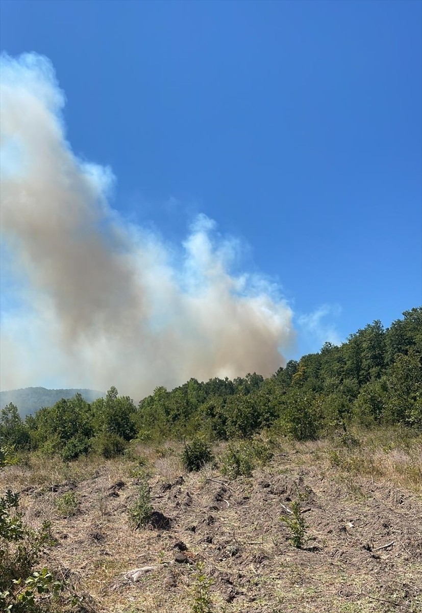 Sakarya'nın Hendek ilçesindeki ormanlık alanda çıkan yangın, söndürülmeye çalışılıyor.