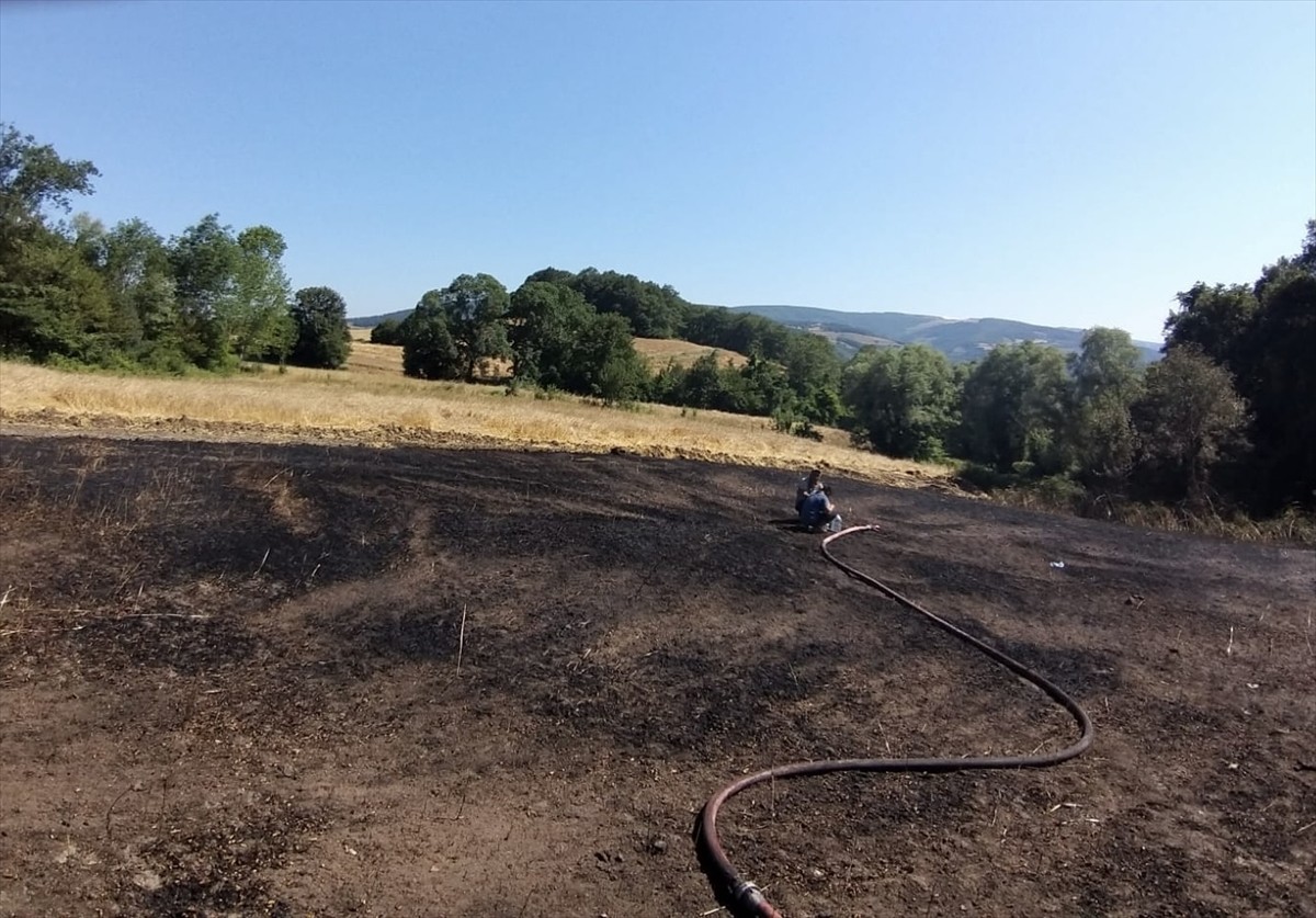 Samsun'un Atakum ilçesinde çıkan yangında 16 dönüm tarım arazisinde zarar oluştu.