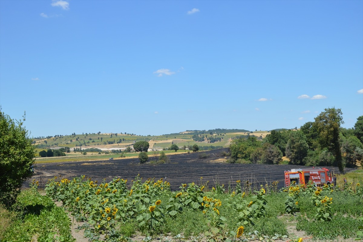 Samsun'un Havza ilçesinde çıkan yangında bir bölümü ekili olan yaklaşık 100 dekar tarım arazisinde...