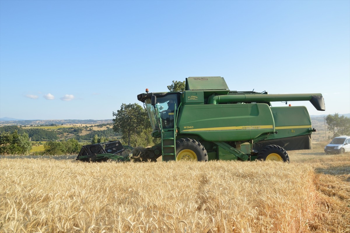 Samsun'un Havza ilçesinde süren buğday hasadında 90 bin ton rekolte öngörülüyor. Çiftçi Kayıt...