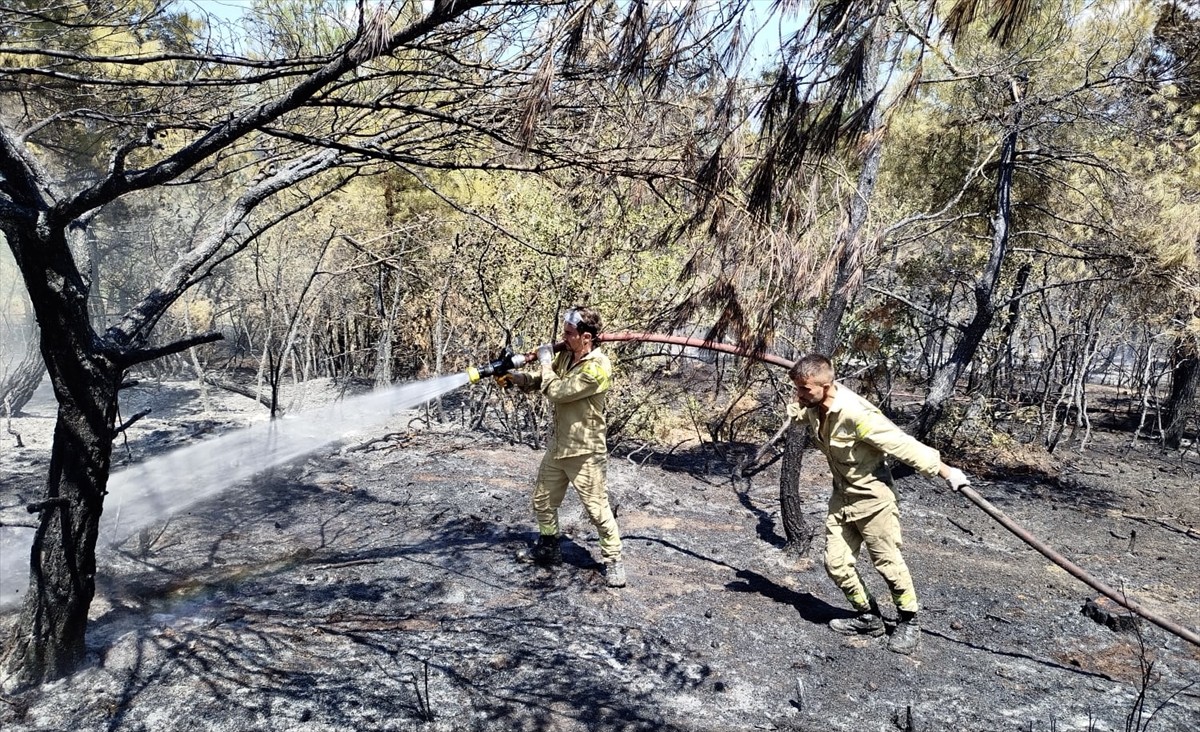 Sinop'un Boyabat ilçesinde çıkan orman yangını söndürüldü. Yangında, ilk tespitlere göre 8 dönüm...