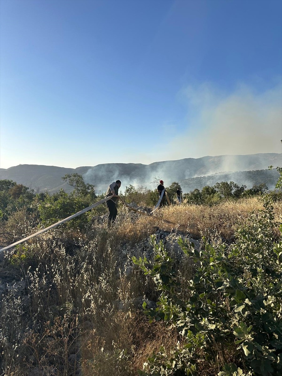 Şırnak'ta Gabar Dağı'nda çıkan örtü ve orman yangını havadan ve karadan müdahale ile kontrol...