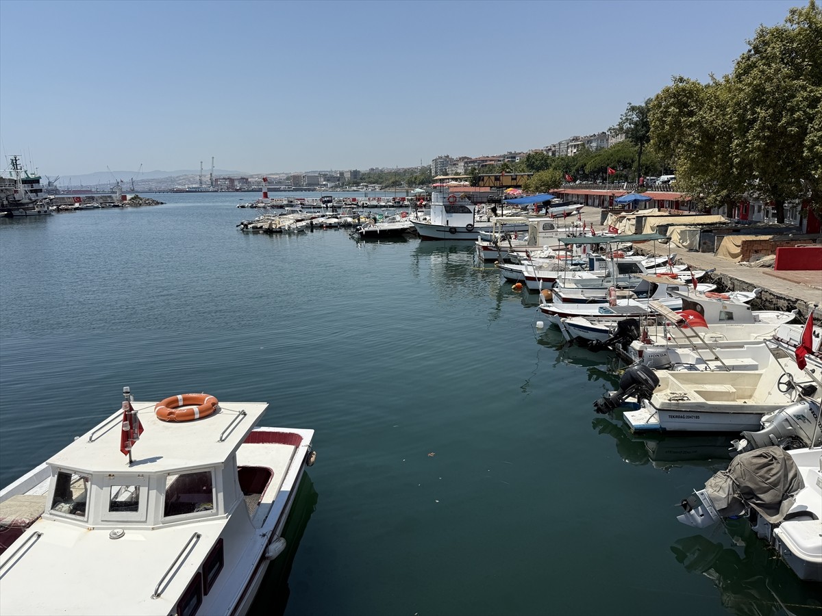 Tekirdağ'da Marmara Denizi'ne açılan küçük tekne balıkçılarının avladığı istavrit tezgahlarda...